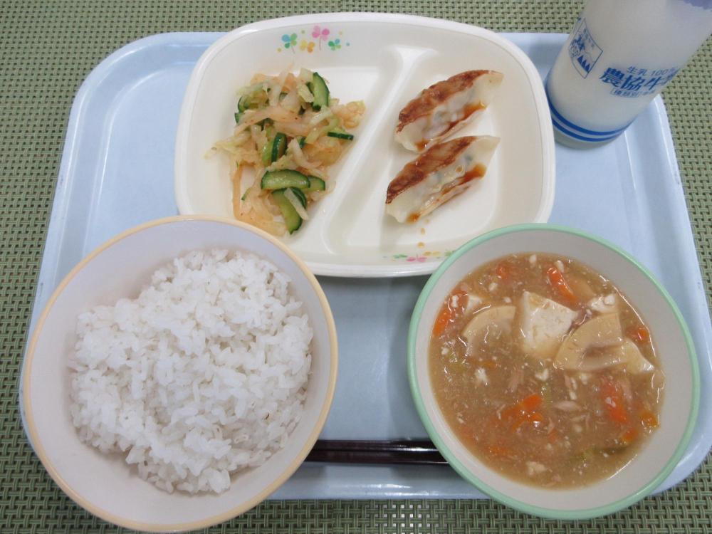 ごはん　牛乳　ツナと豆腐の中華煮　蒸しぎょうざ（2個）・酢じょうゆ　キムチあえ