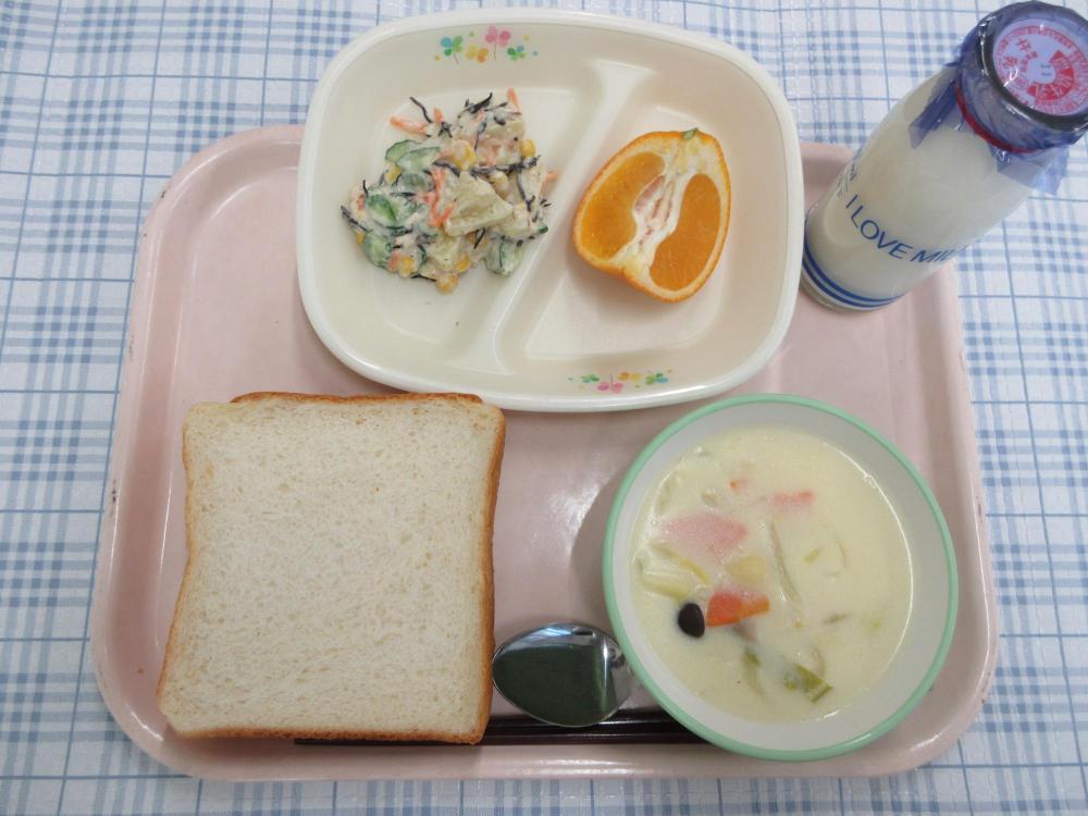 厚切り食パン　牛乳　白菜のクリーム煮　ひじポテサラダ　愛媛県のいよかん