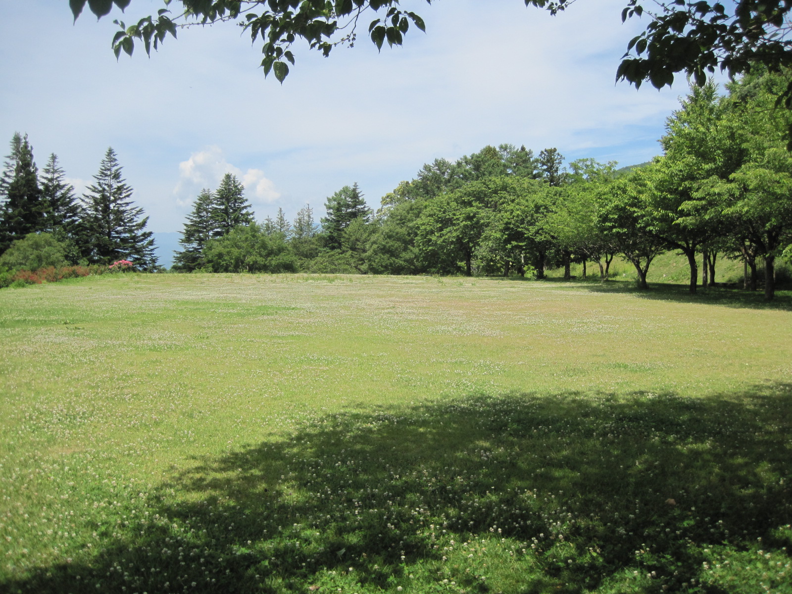 どんぐりの森公園