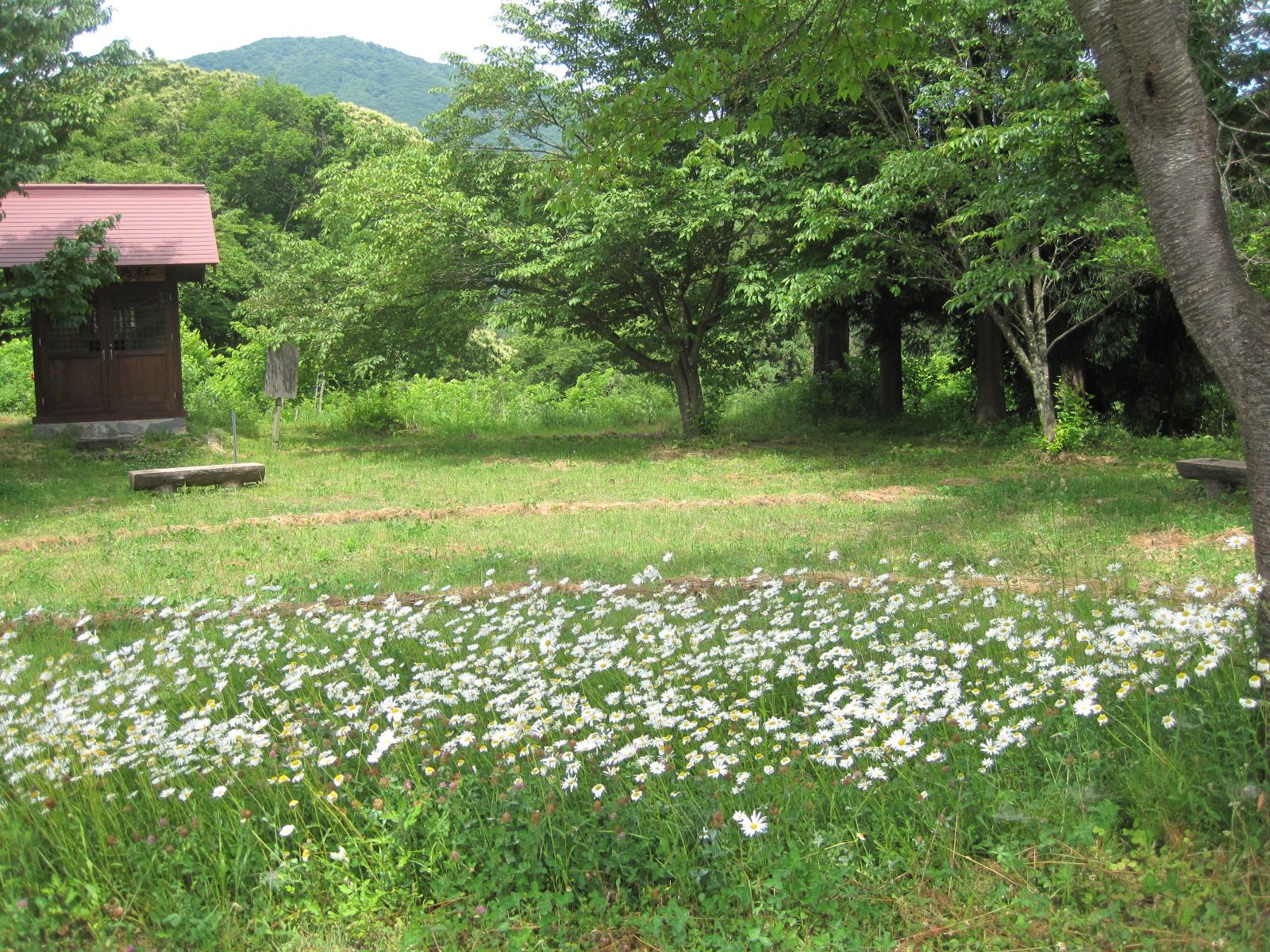 本郷児童公園